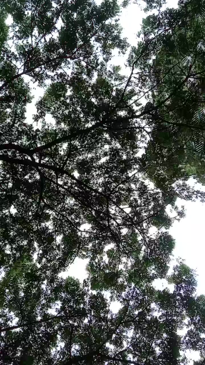 @Arush Roy 01