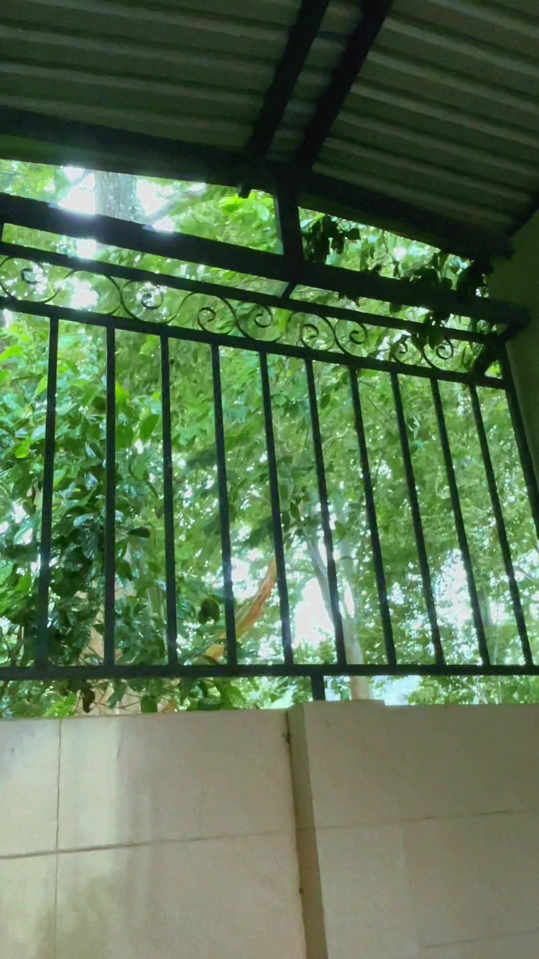 @Ở nhà đọc sách