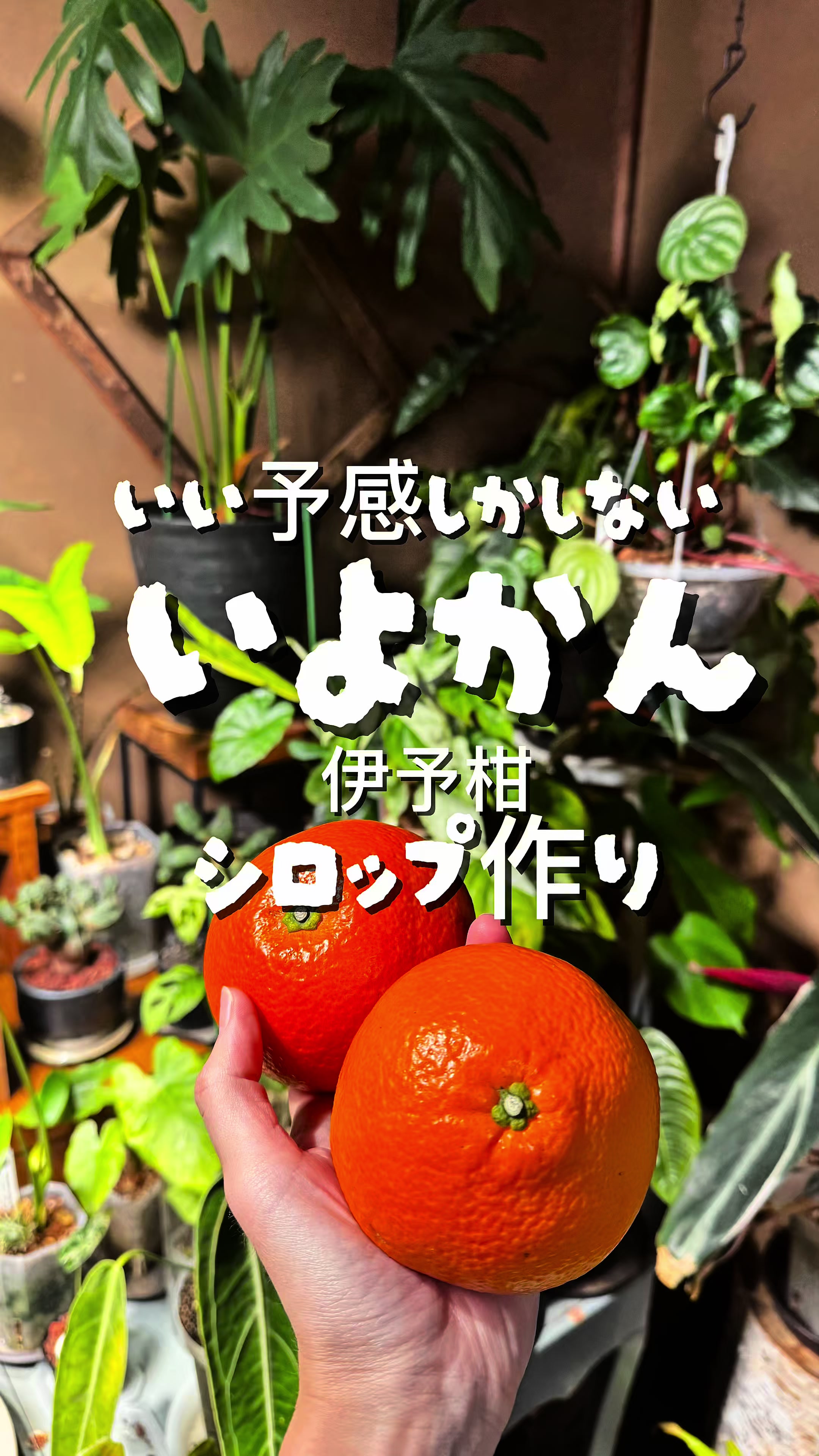 @かんずり夫婦のひろみ
