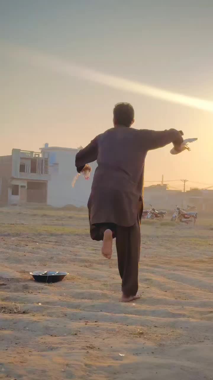 @عدیل رحمن لیہ وال کبوتر باز