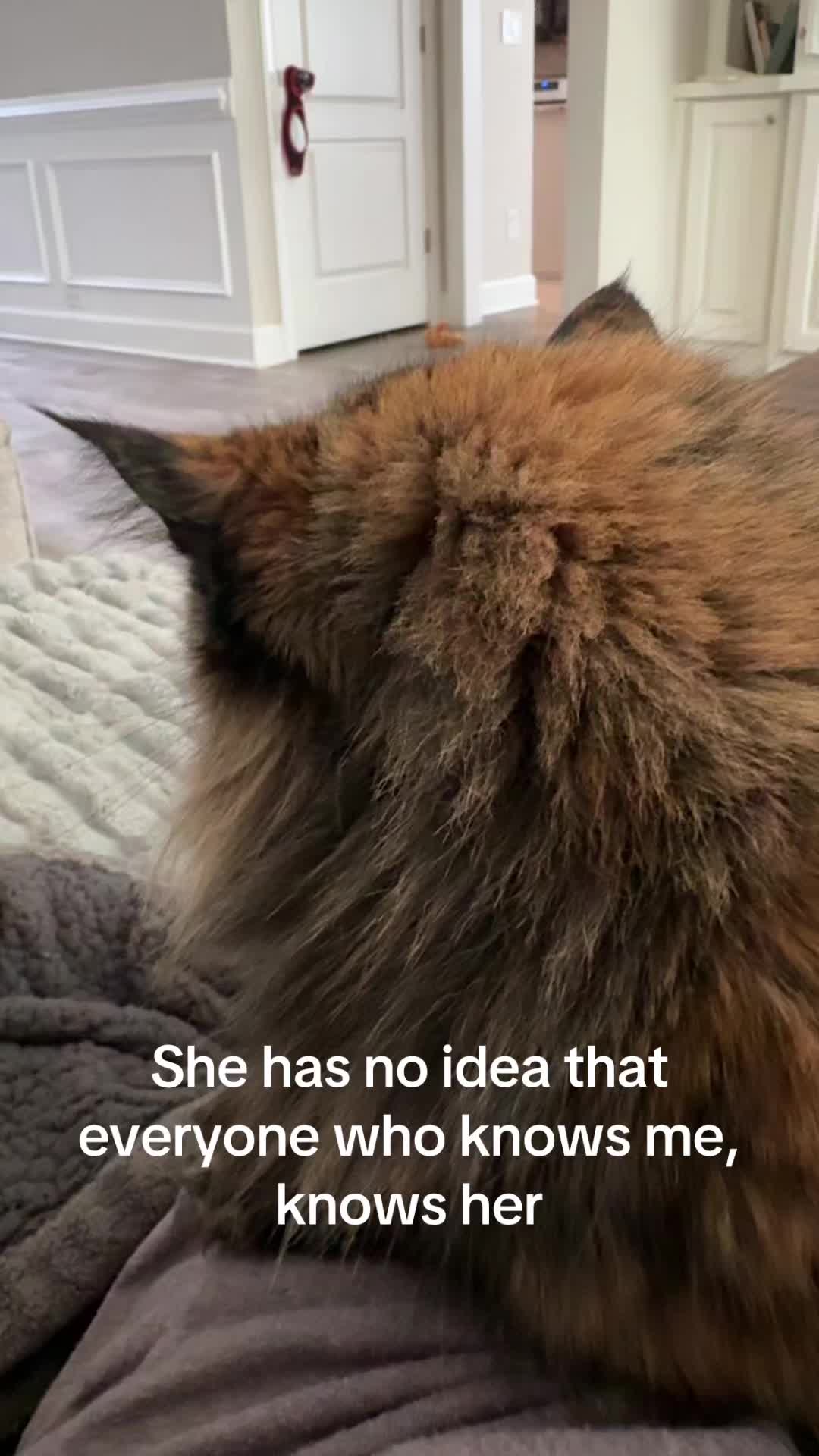 @Jo