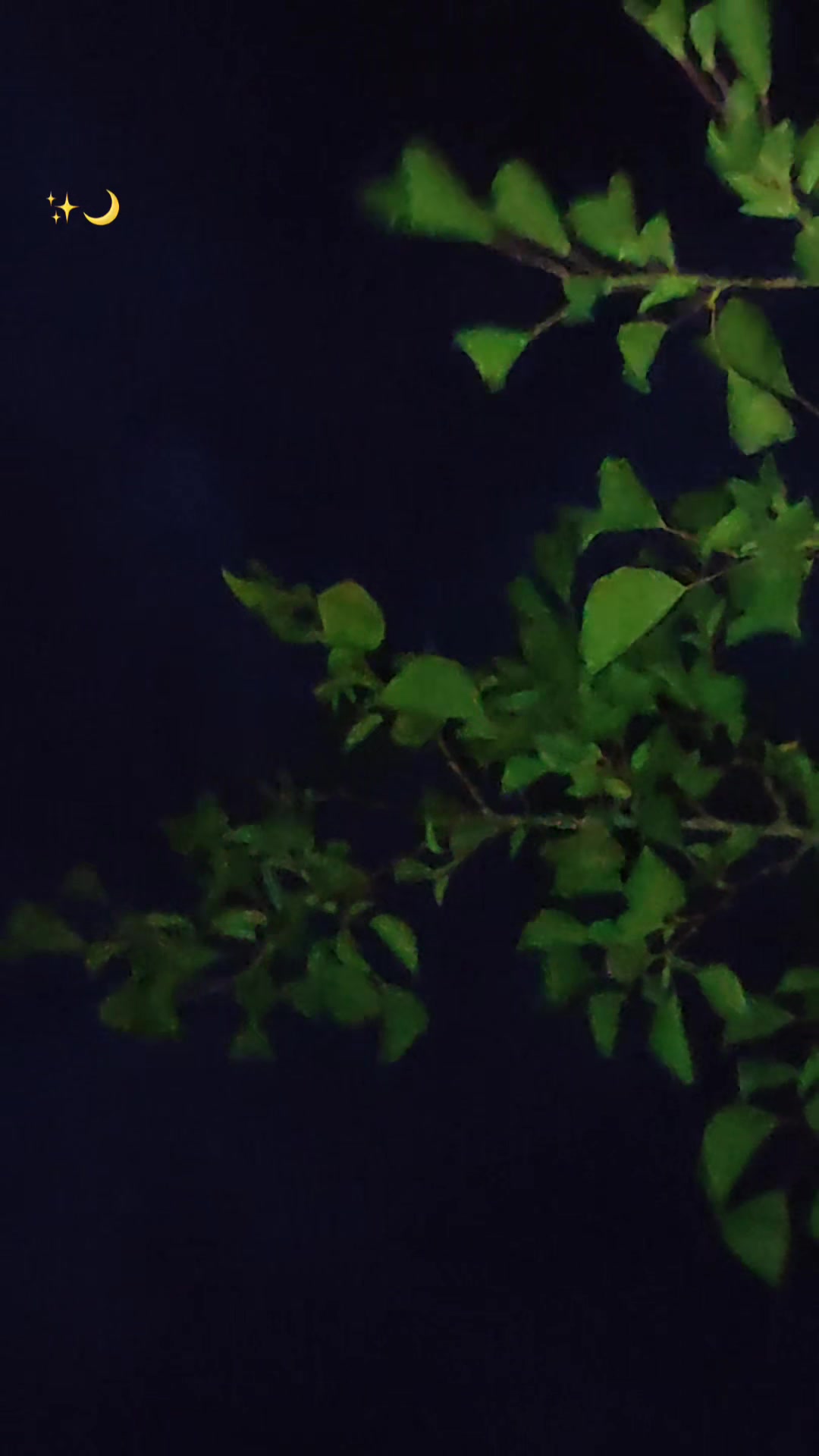 @𝑴𝑼𝑯𝑨𝑴𝑴𝑬𝑫