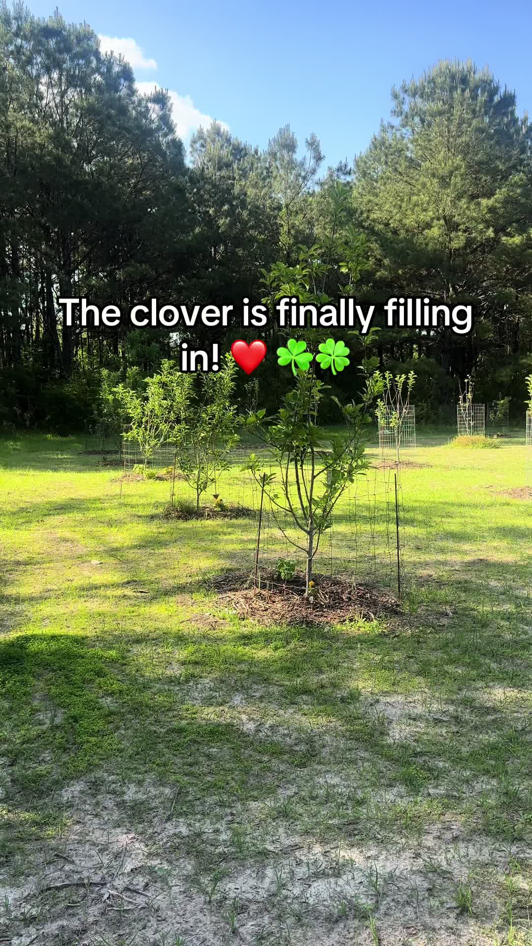 @Old_Stillmore_Homestead