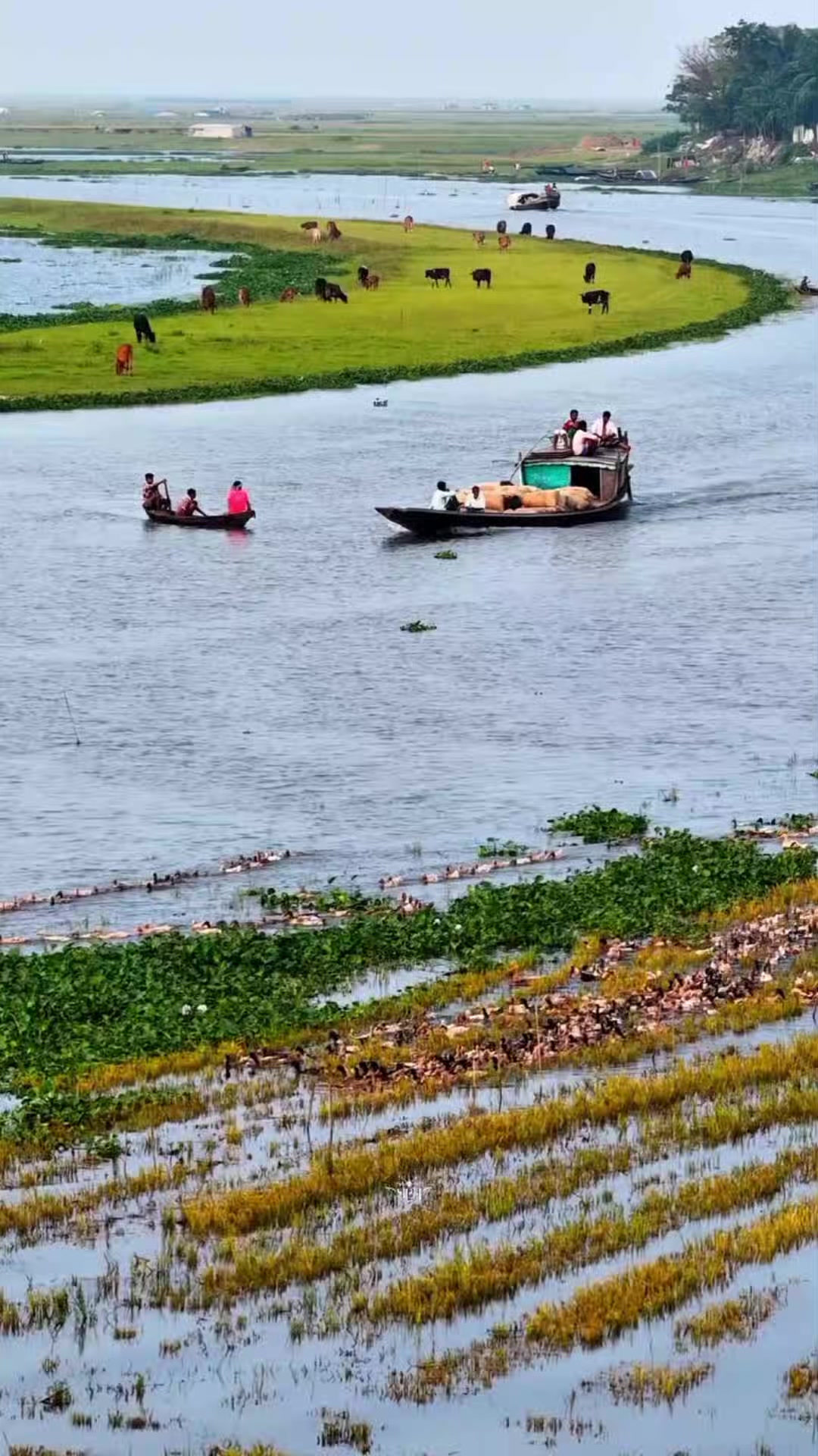 @Kamrujjaman Sojib