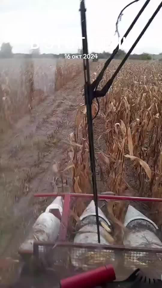 @Николай Куличик
