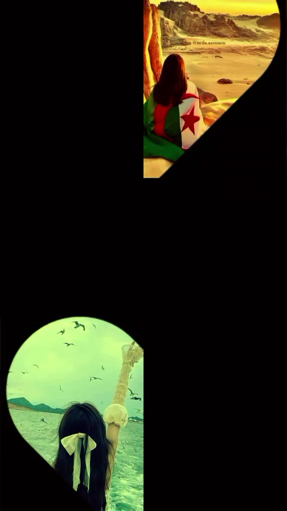 @@111TassNim1@