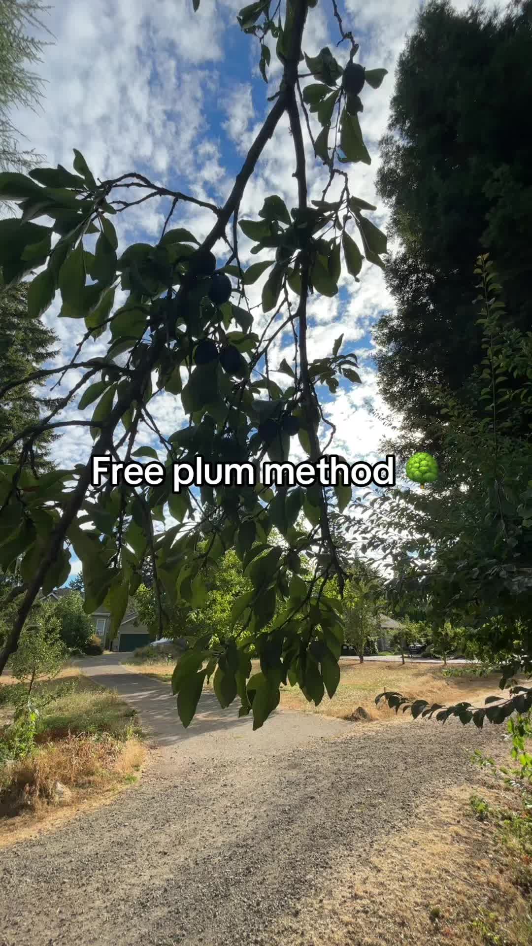 @EthanHealth