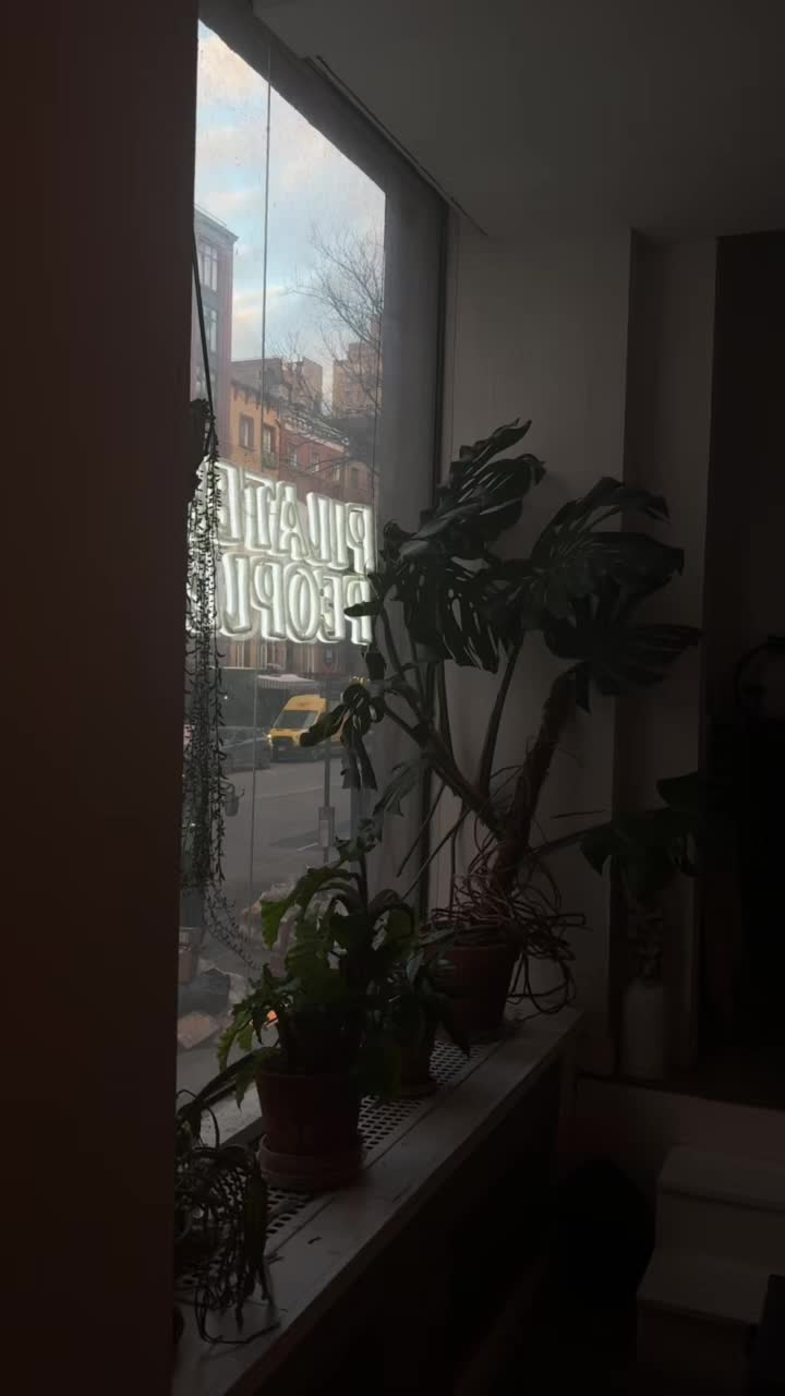 @𝒯𝒽𝑒 𝒫𝑒𝒶𝒸𝒽 𝒫𝓇𝒾𝓃𝓉
