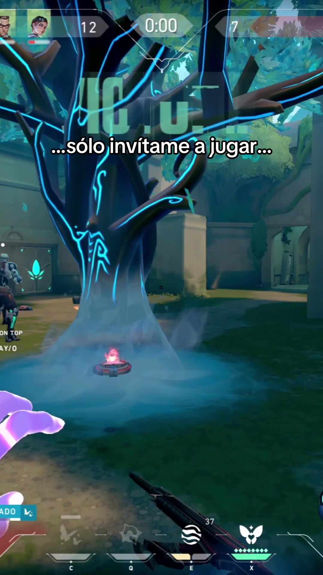 @Alecha