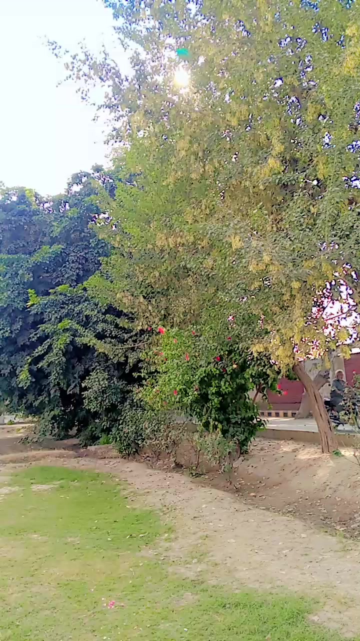 @Kanwal Kanwal