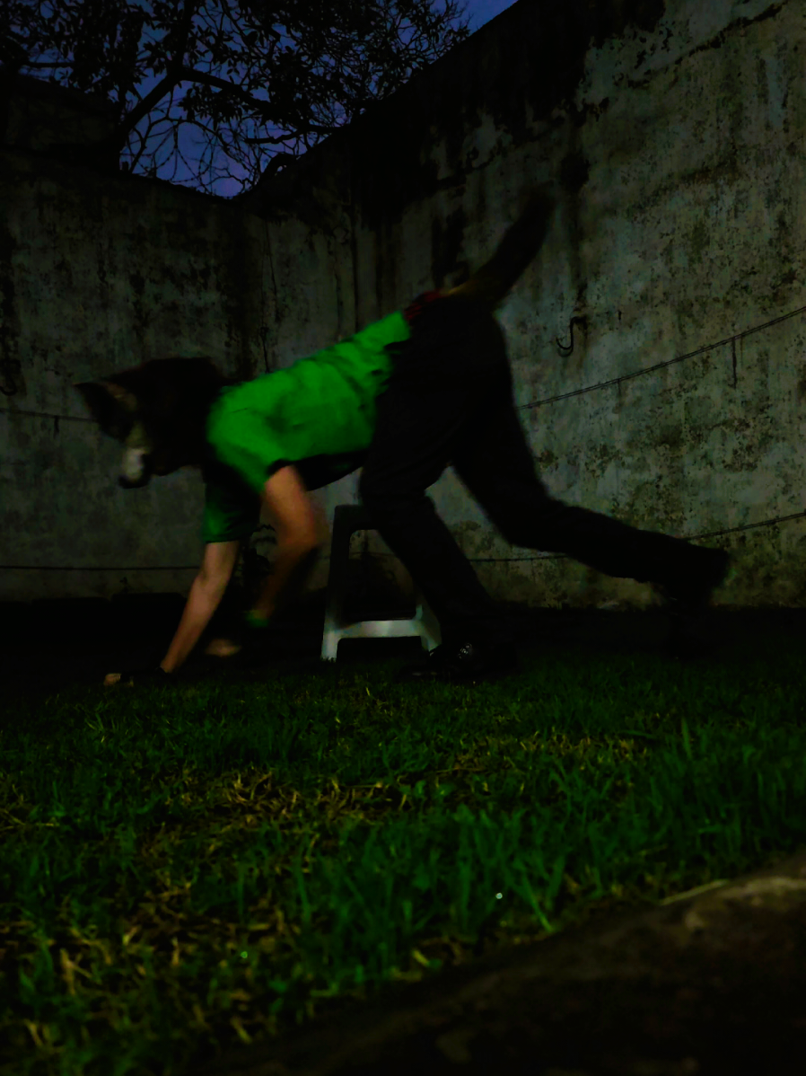 @Lexiii >.<