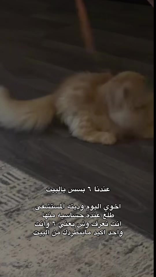 @إسراء