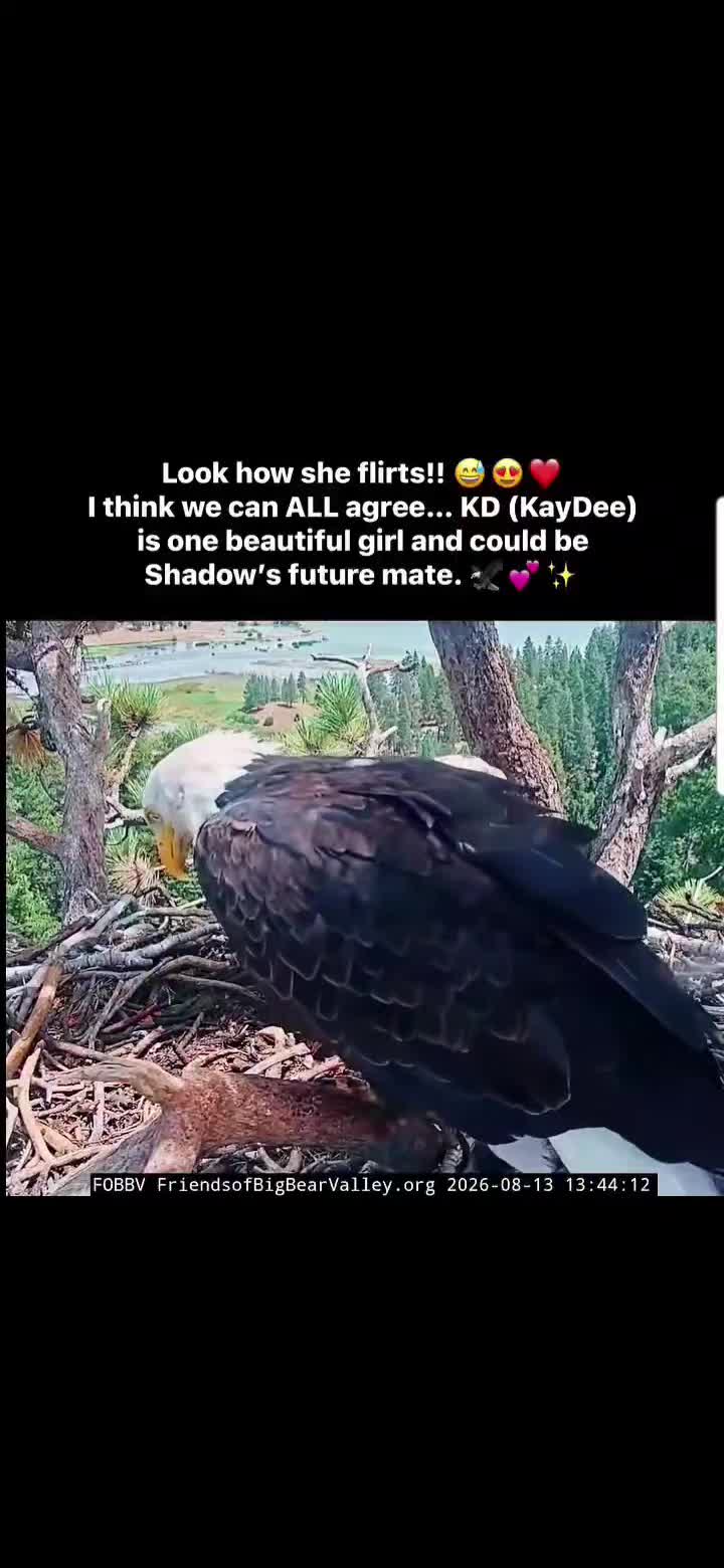 @Bri._.All