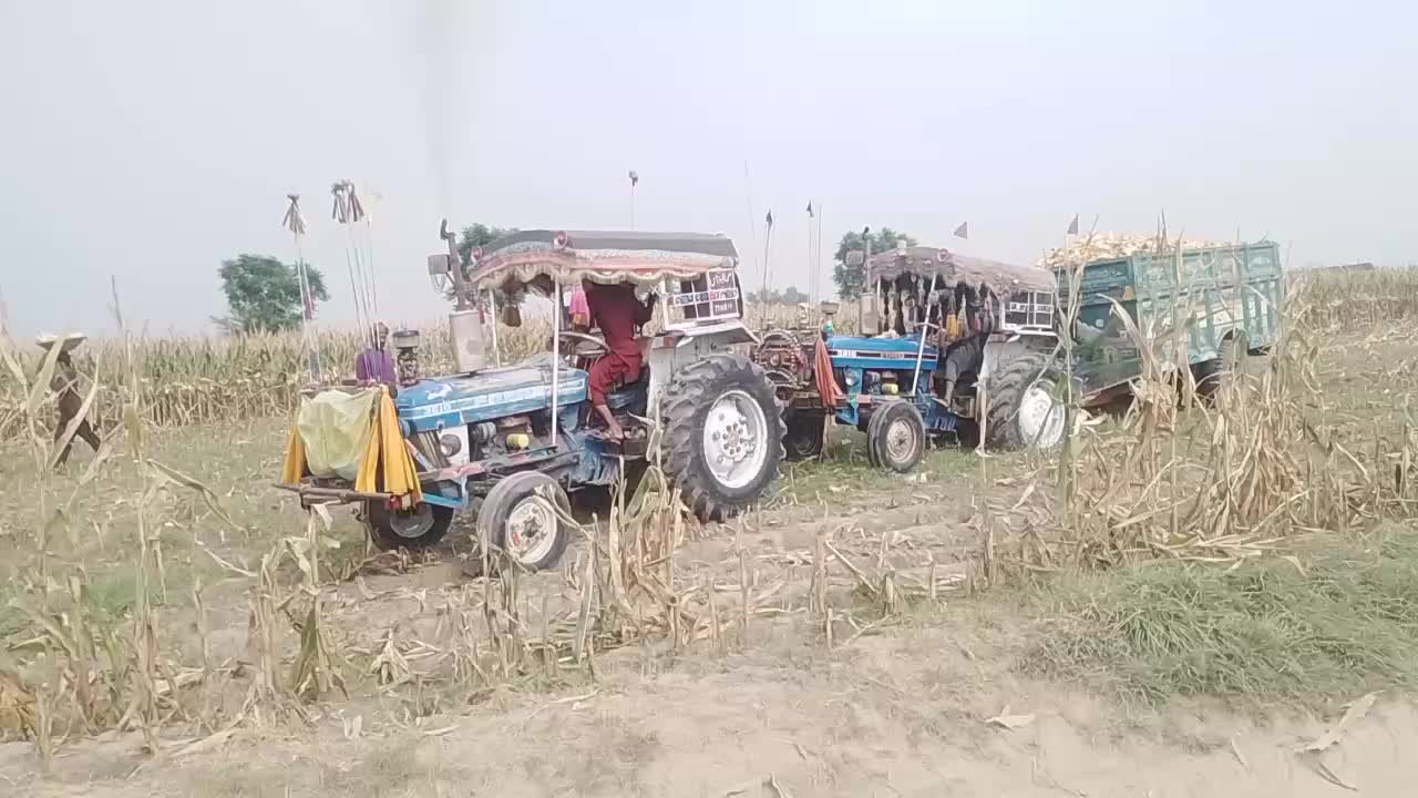 @qalababbas149