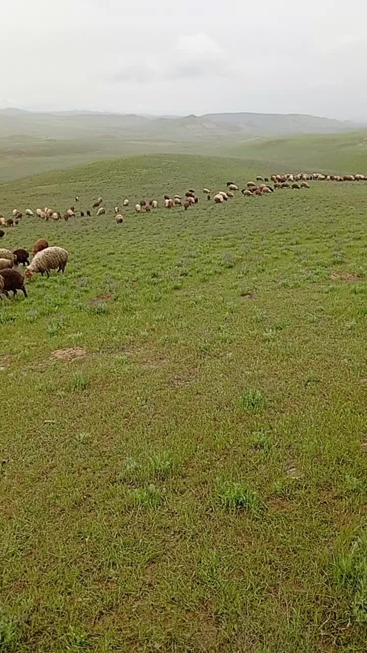 @Adil ceferov 61