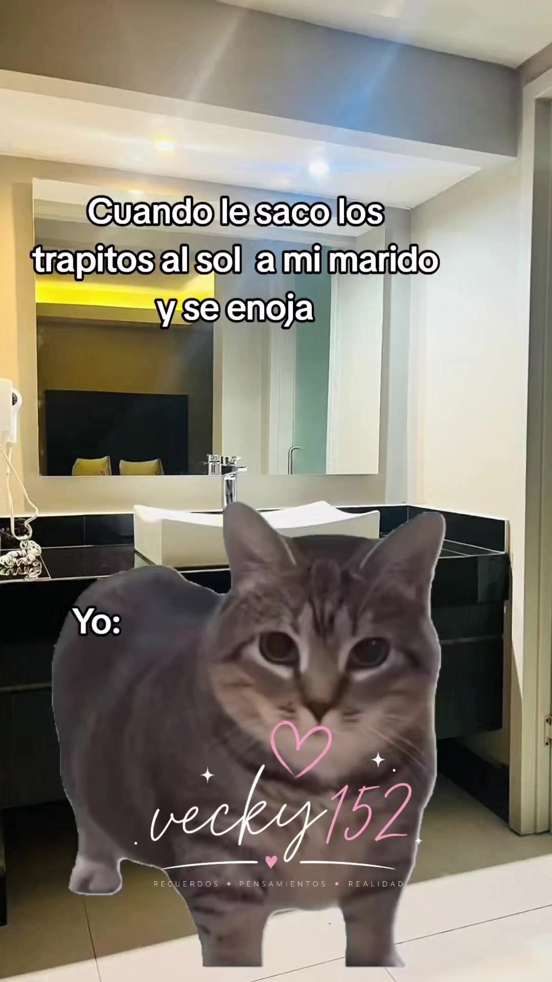 @vecky
