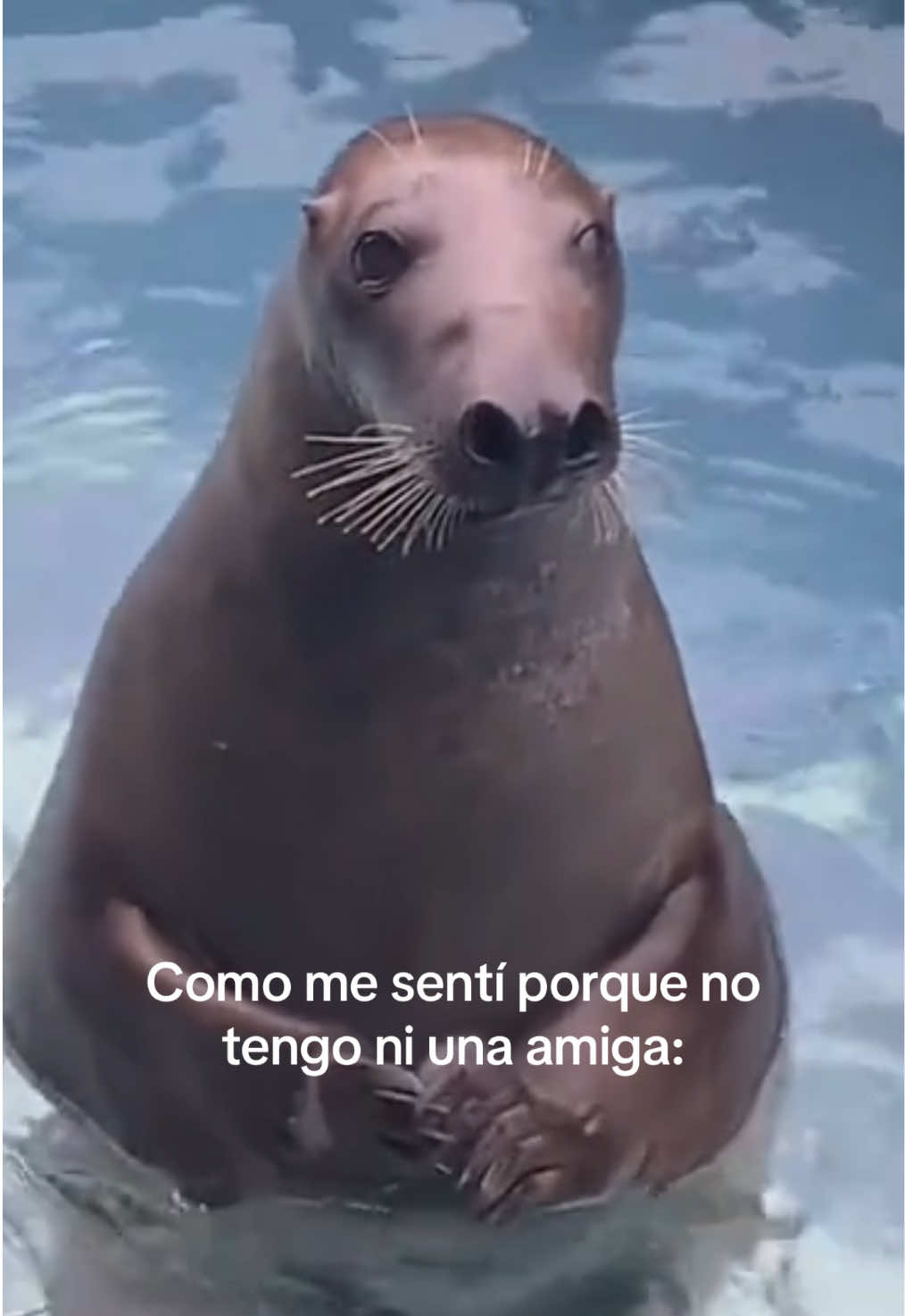 @Marquesita ama a Aaron