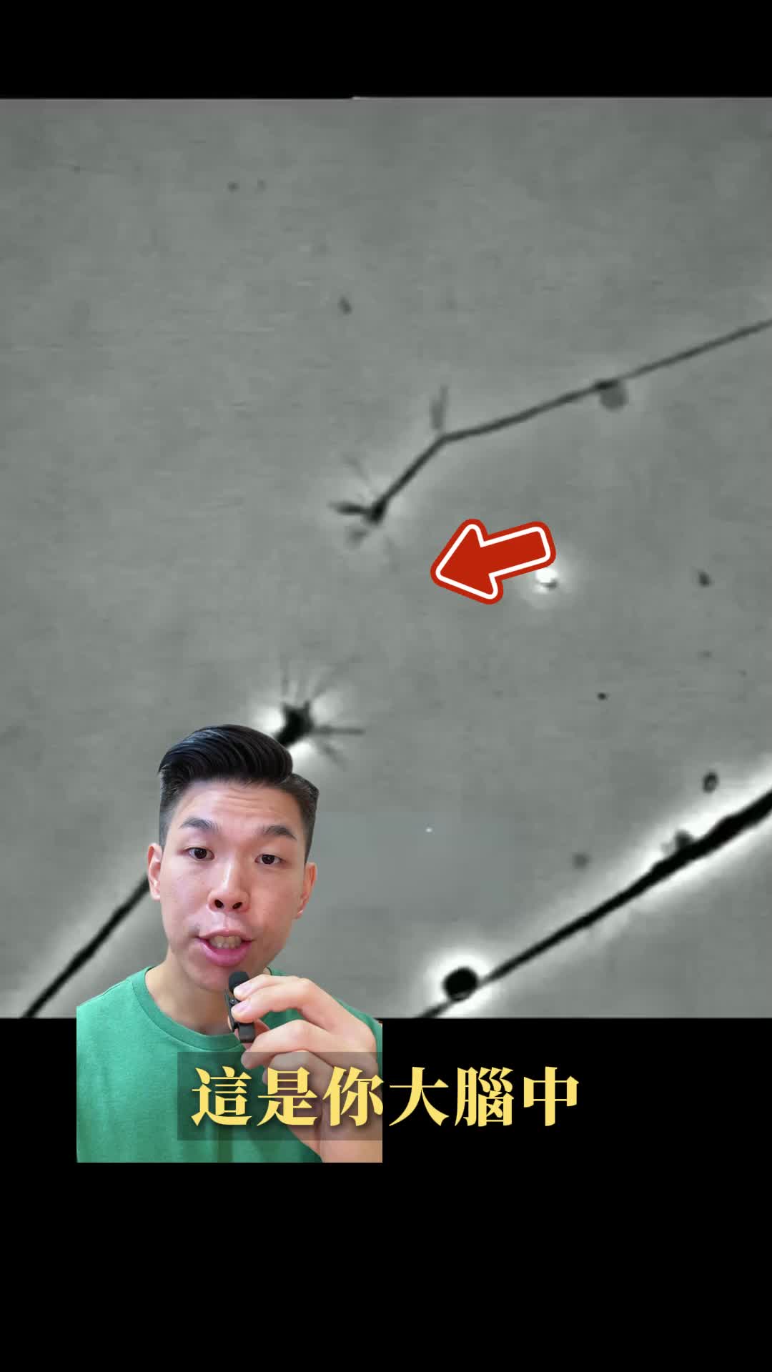@張馬丁🙏