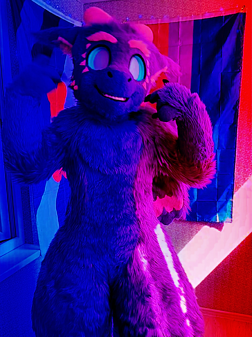 @🍇💠«𝓥𝓪𝓲𝓵 »💠🍇