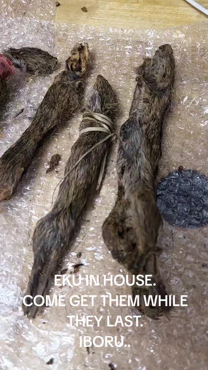 @House of Radiation Botanica