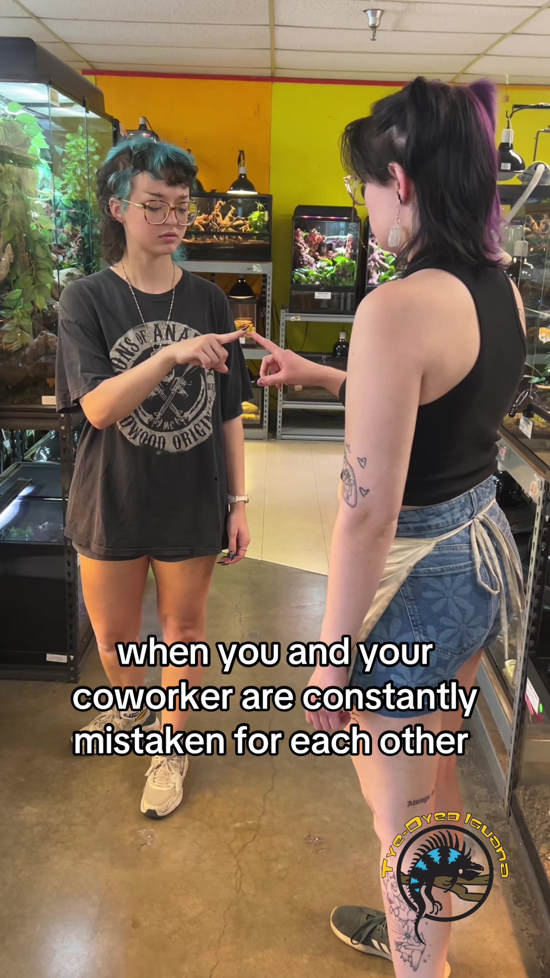 @Tye-Dyed Iguana