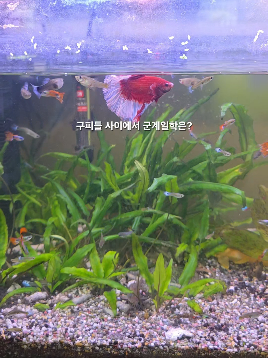 @김상근