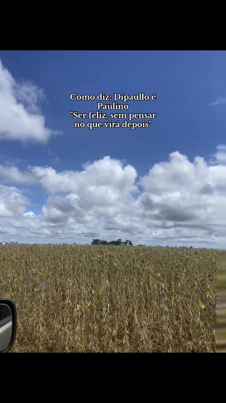 @boiadeira_dressa