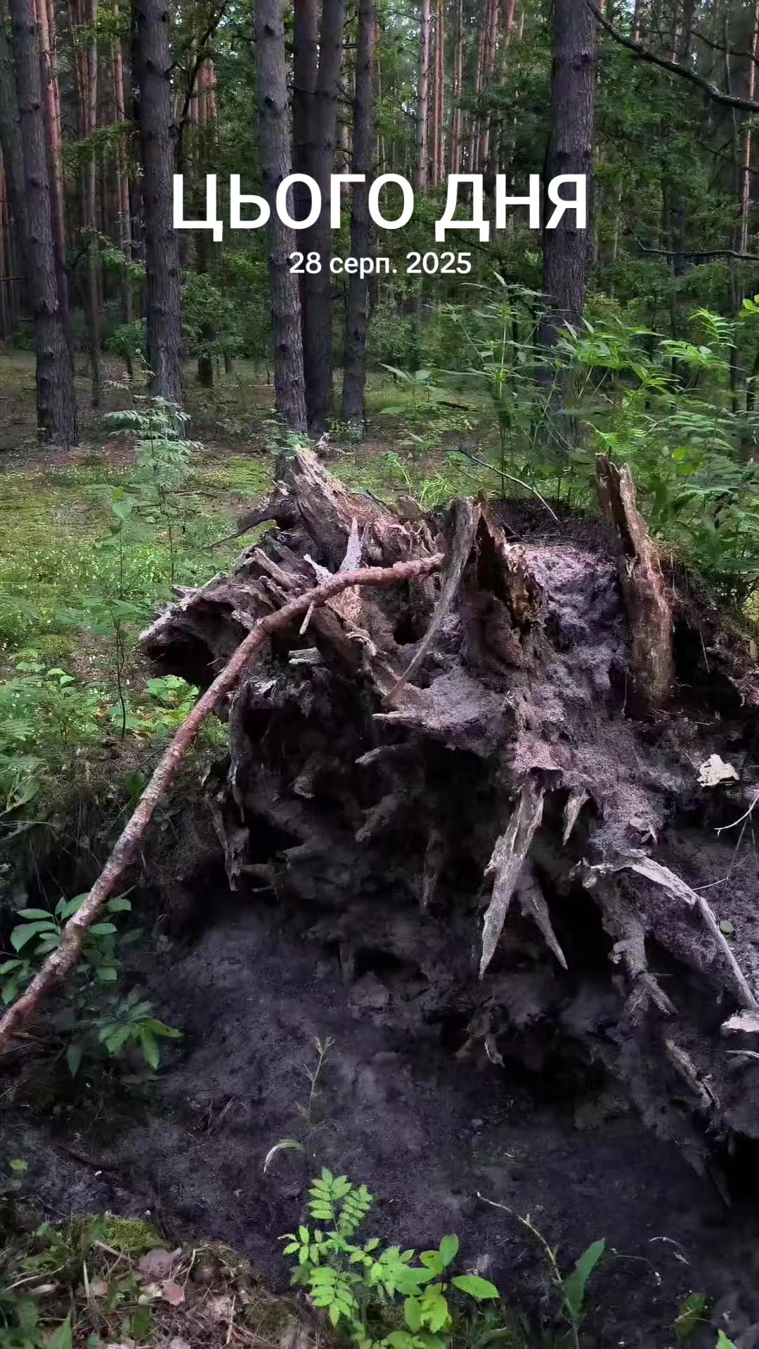 @Наталя🏍️🌳🌊