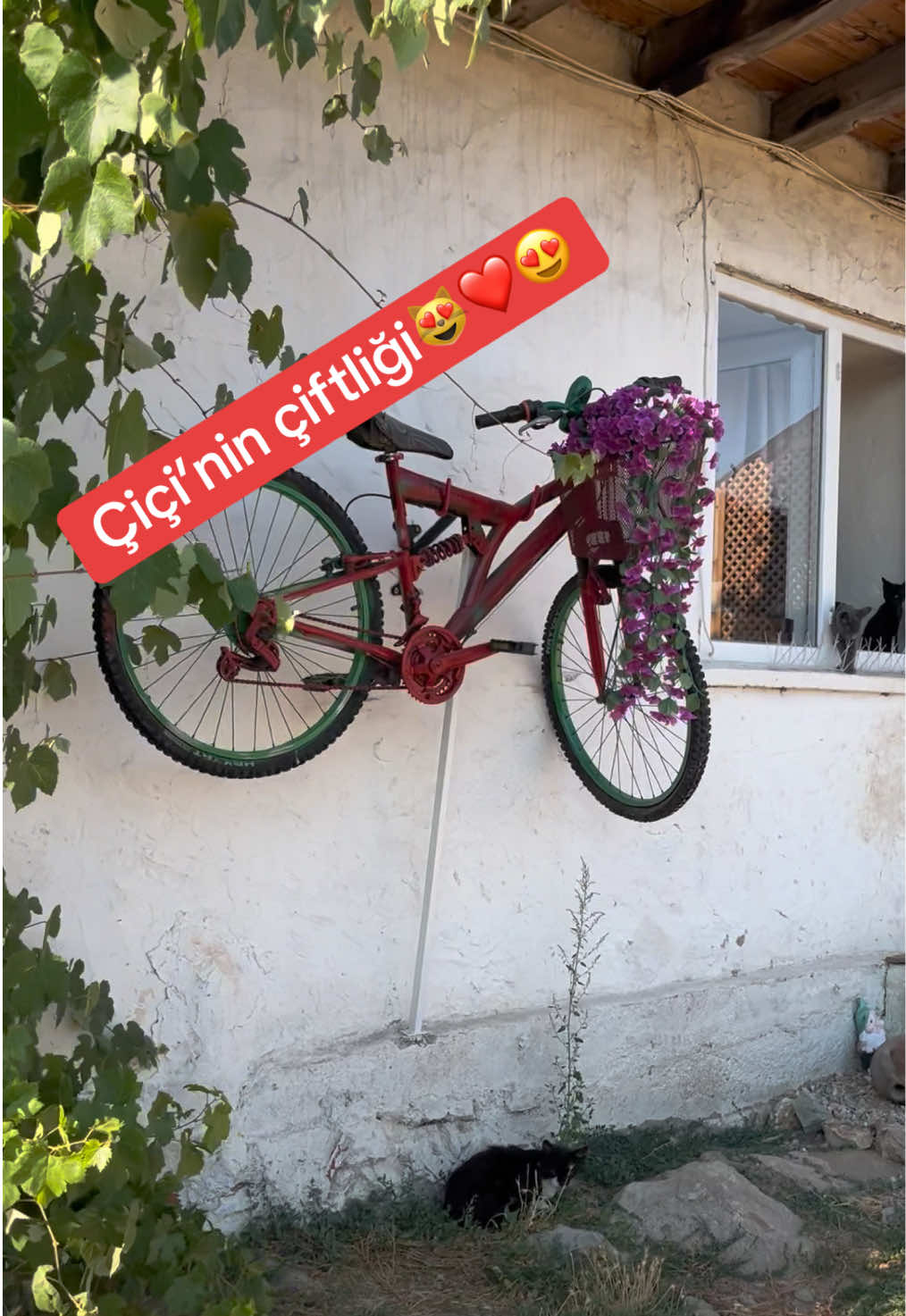 @Çiçinin köy evi