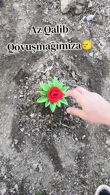 @xeyalrm