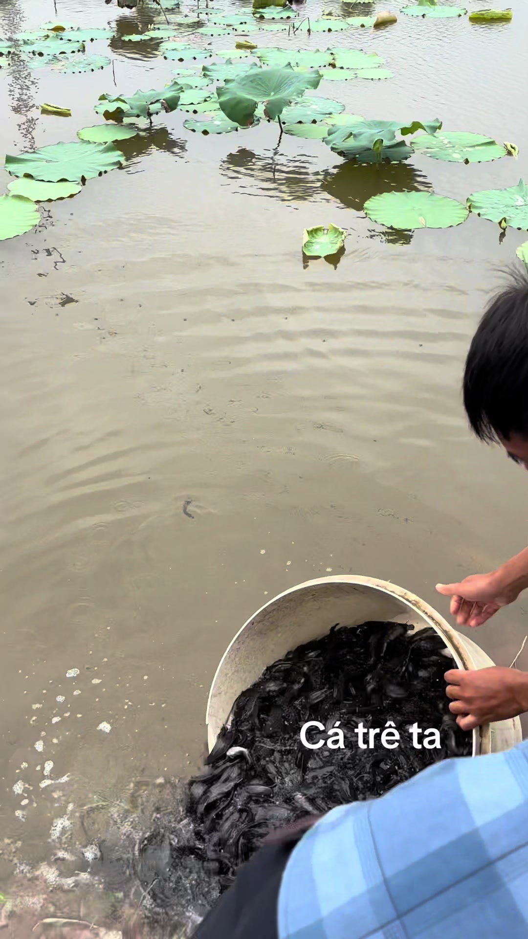 @Trại Cá Giống Quang Lâm