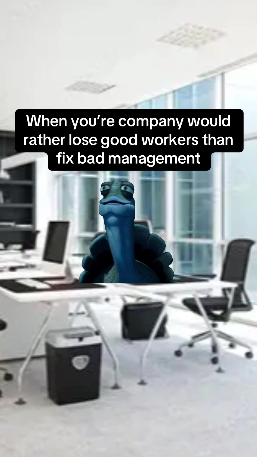 @memeking