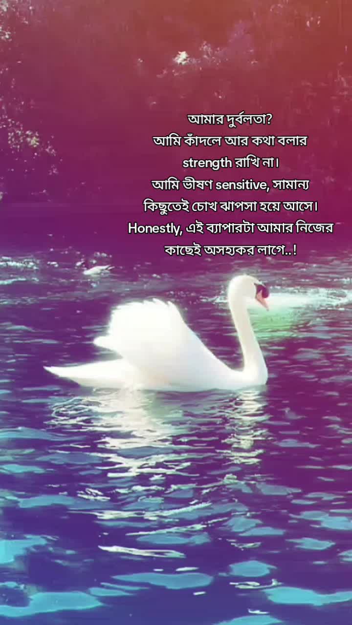 @Tamuuđ