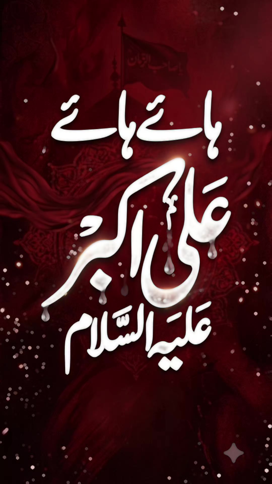 @Syed Adnan Ali Bukhari