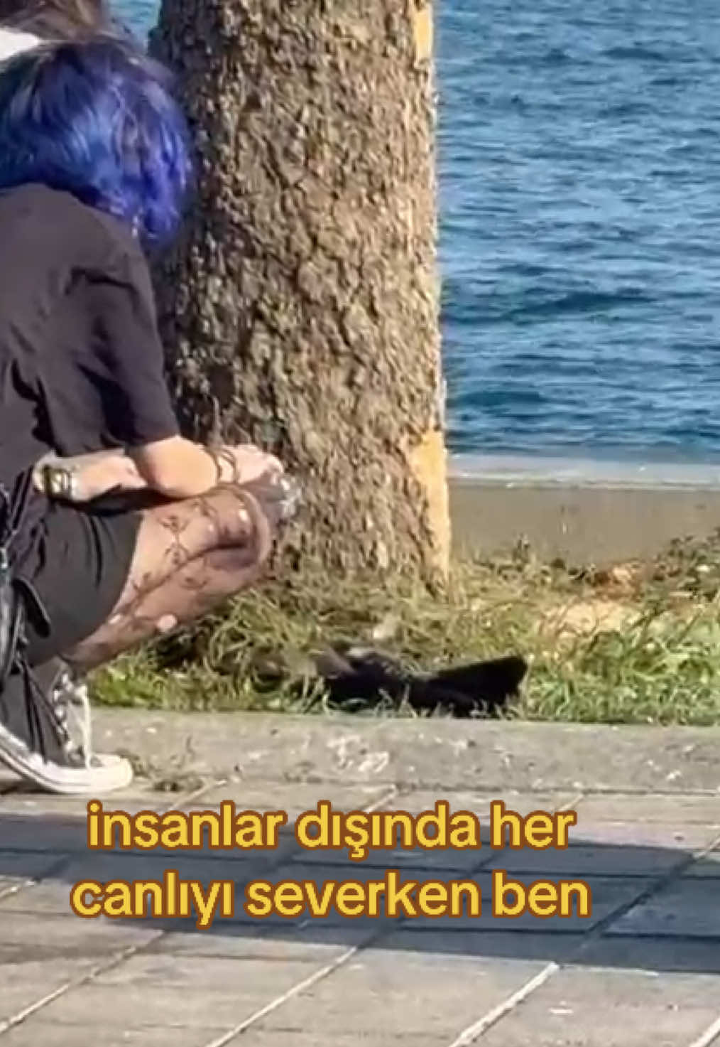@mrv