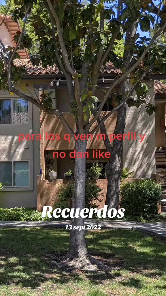 @🤥🤥🤥🤥🤥🤥🤥🤥