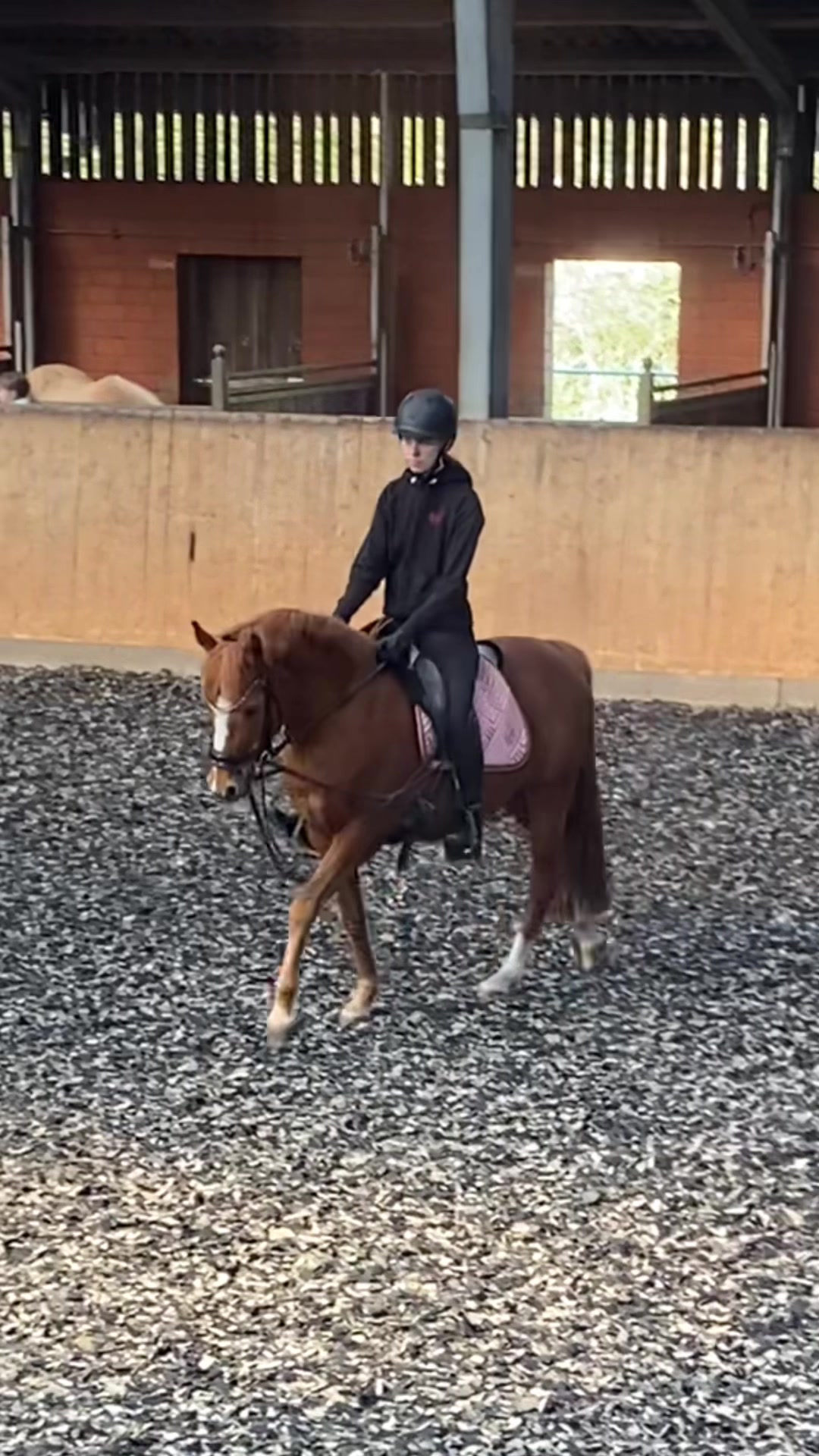 @𝐗𝐞𝐧𝐢𝐚 & 𝐌𝐚𝐝𝐝𝐲 💞
