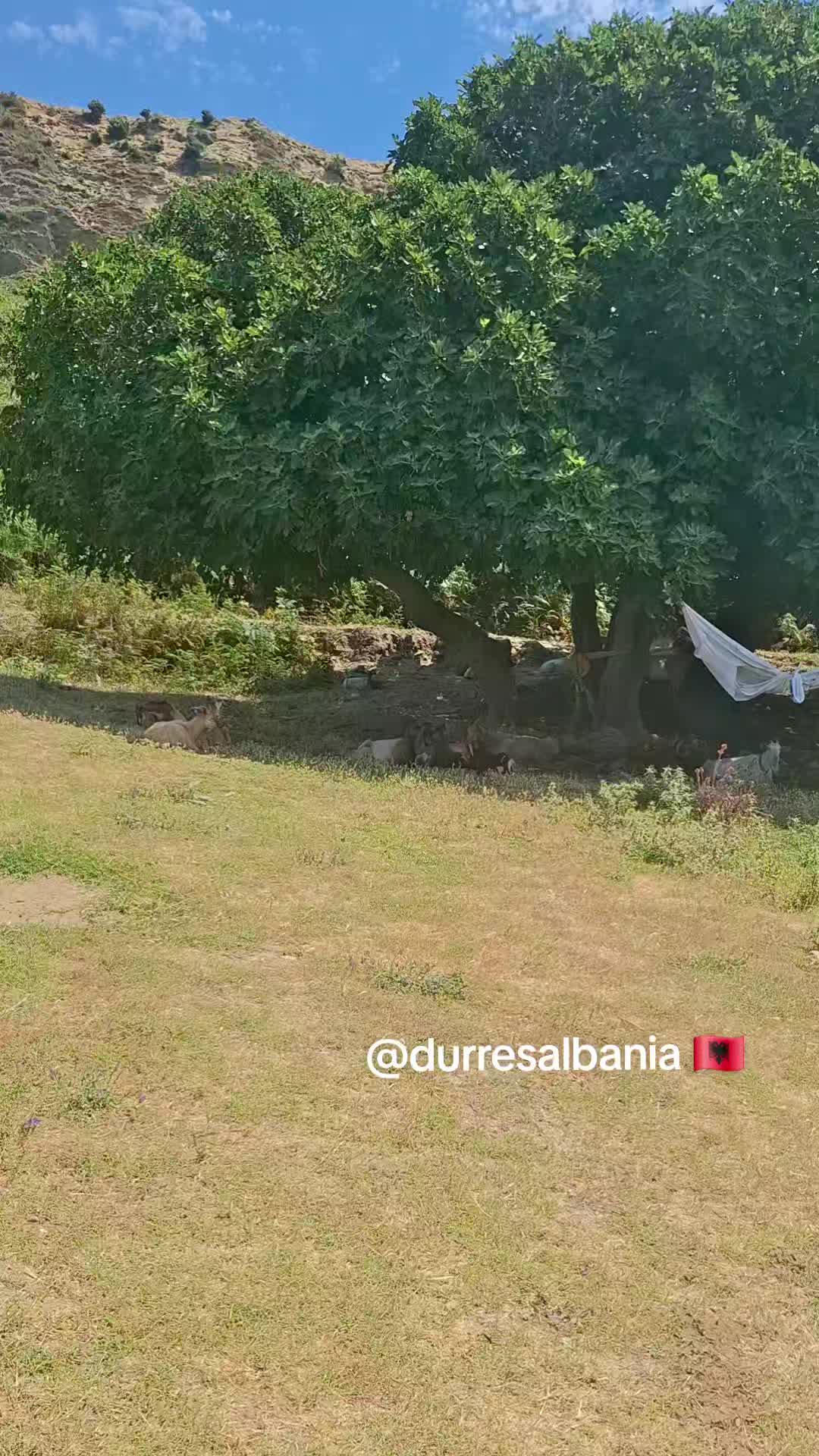@durresalbania🇦🇱