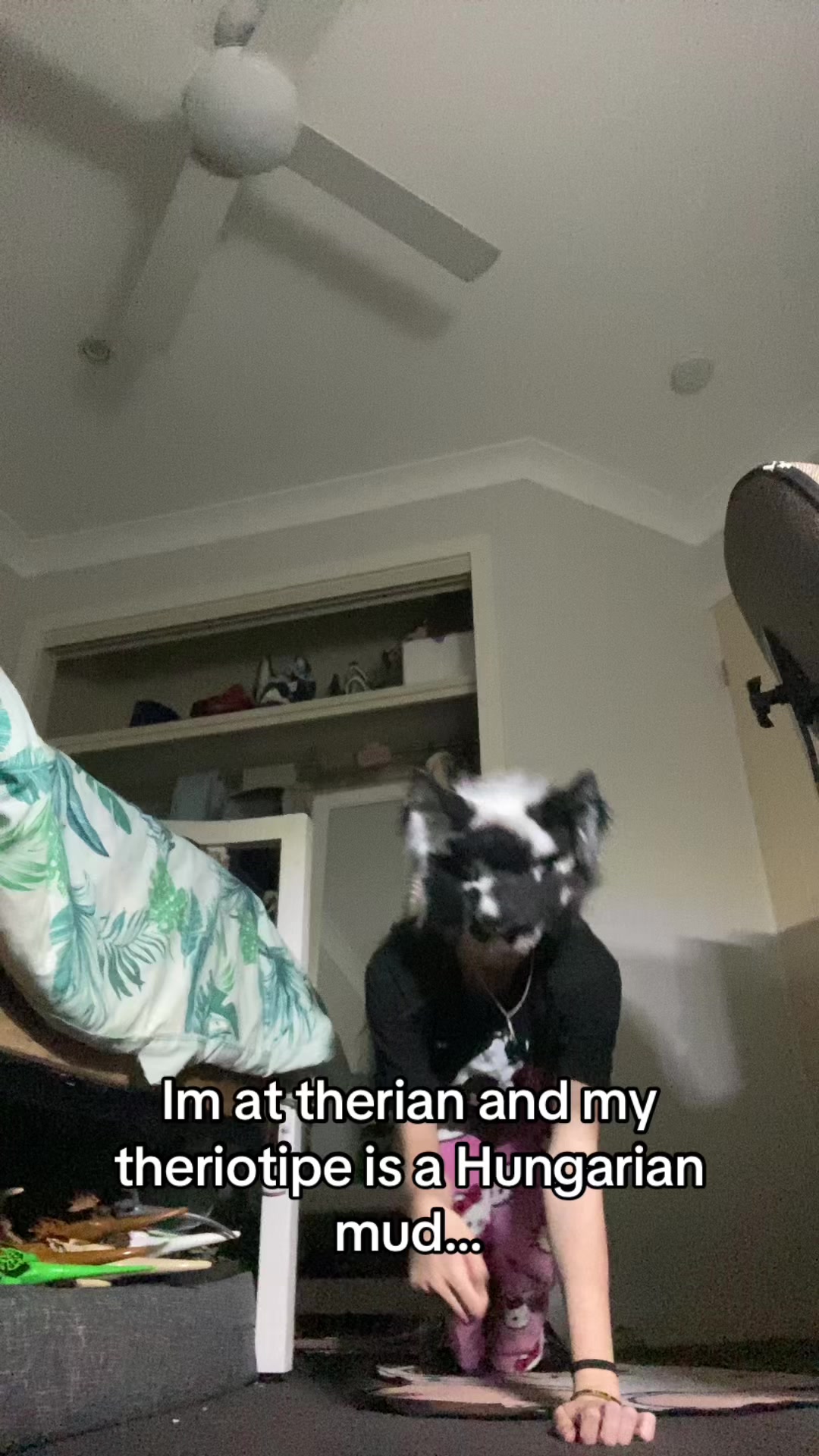 @<Ñįćø>