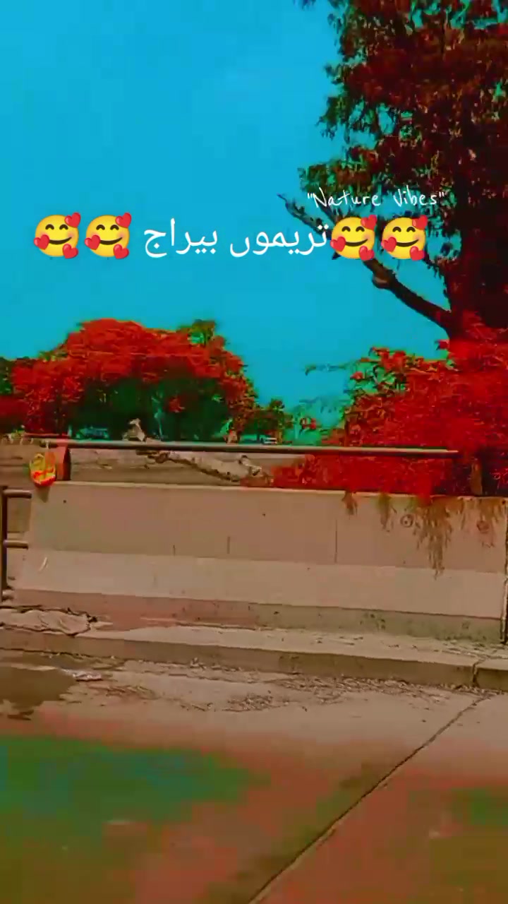 @🤗🥰Hussain hun yar🥰🤗