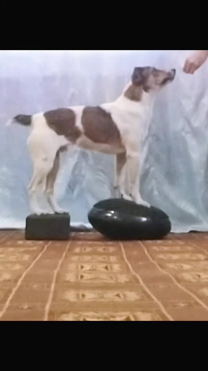 @𝘑𝘦𝘳𝘳𝘺🥏𝘢𝘪𝘳