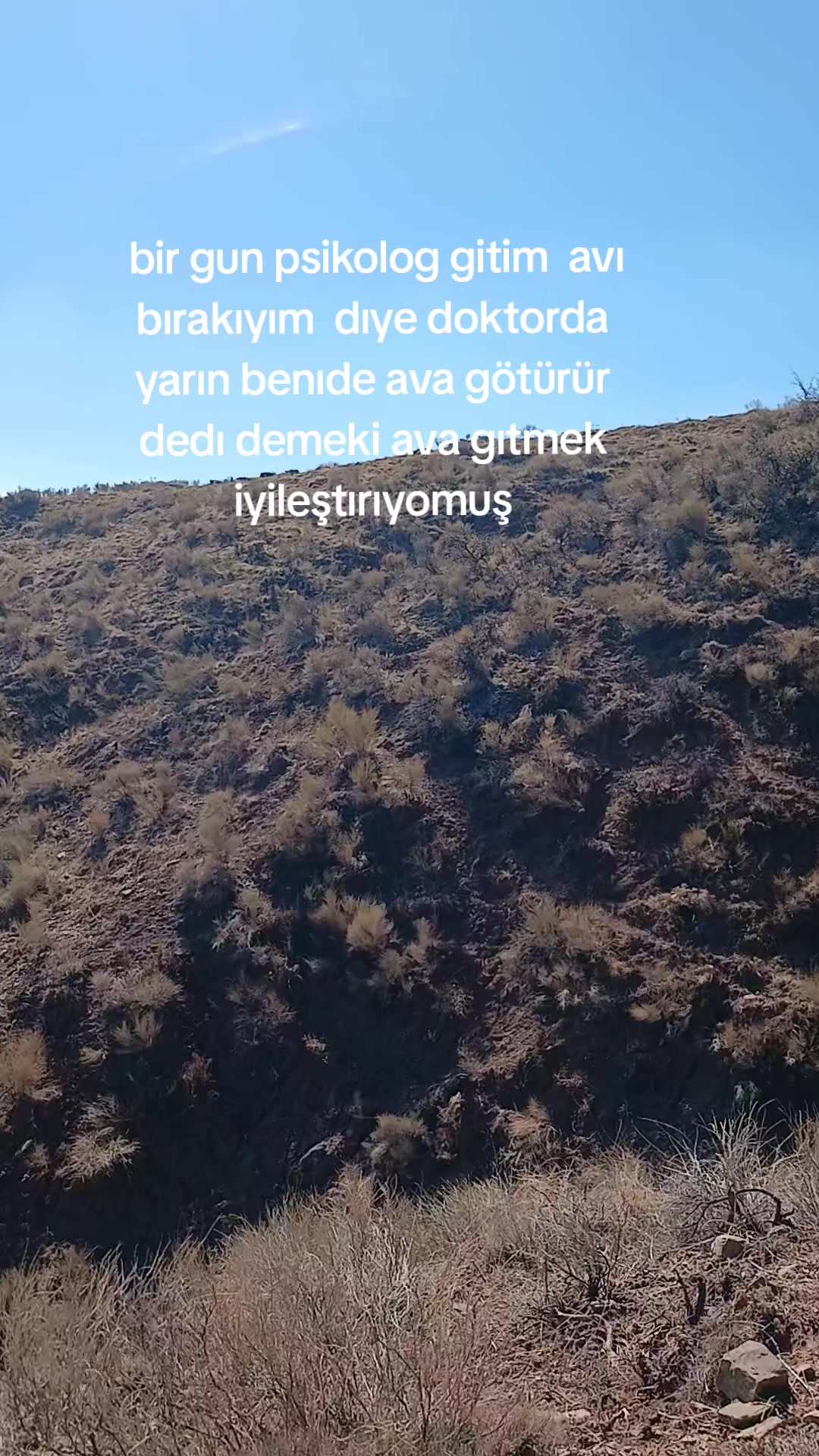 @avci