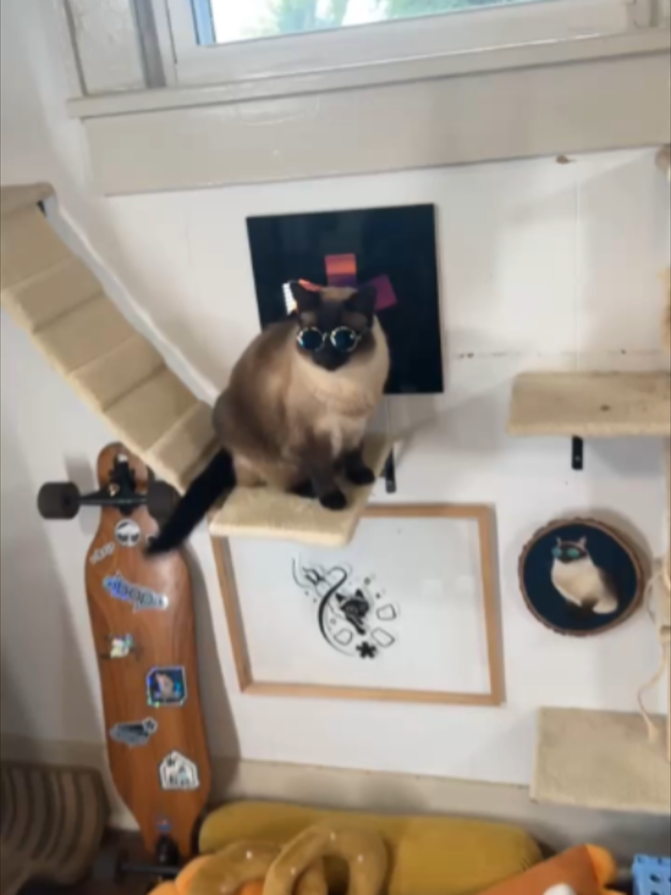 @bap.kat