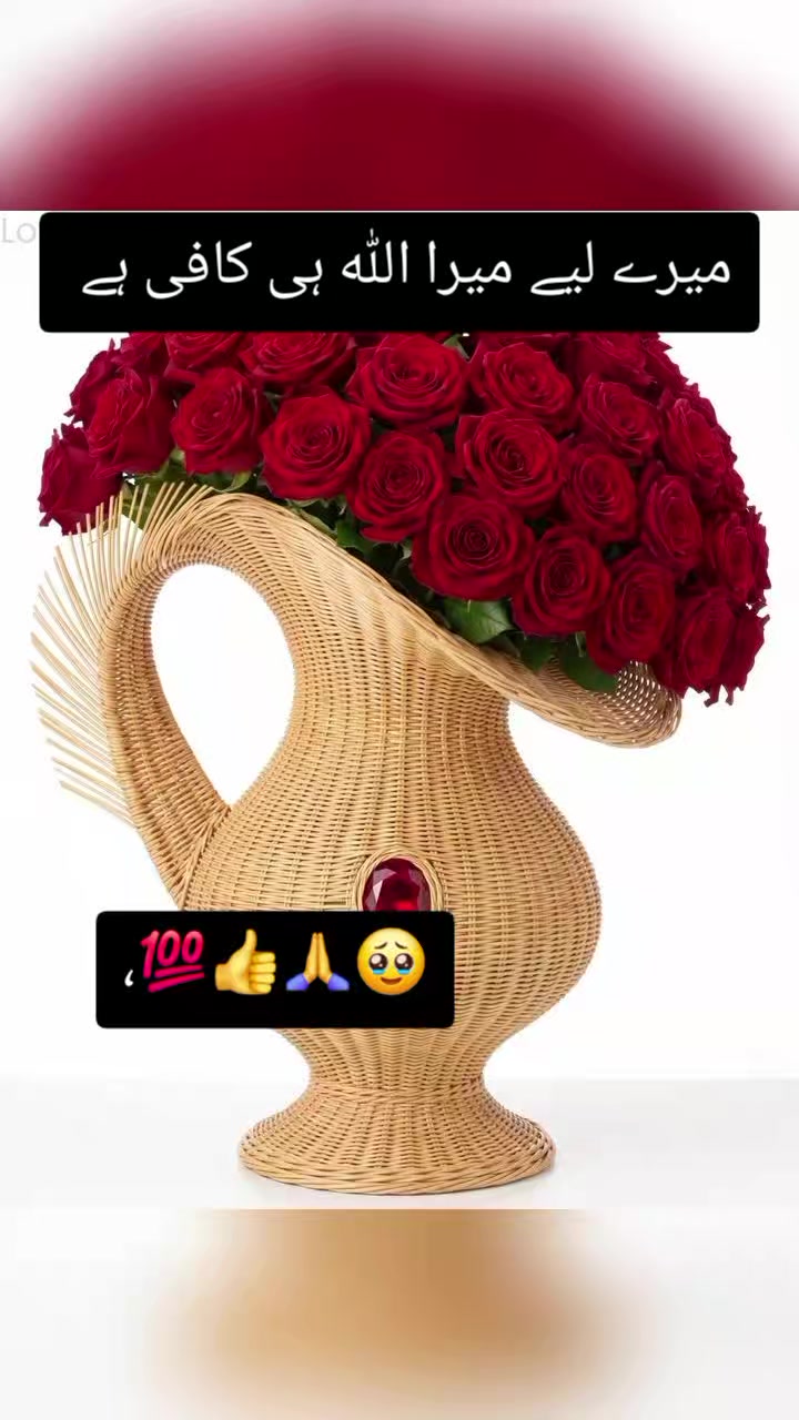 @Mrs Ramzan...🤍