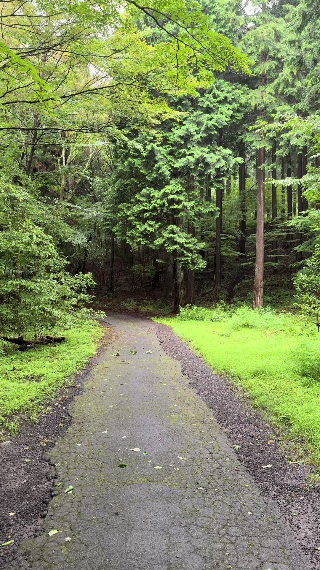 @japan.guidepal