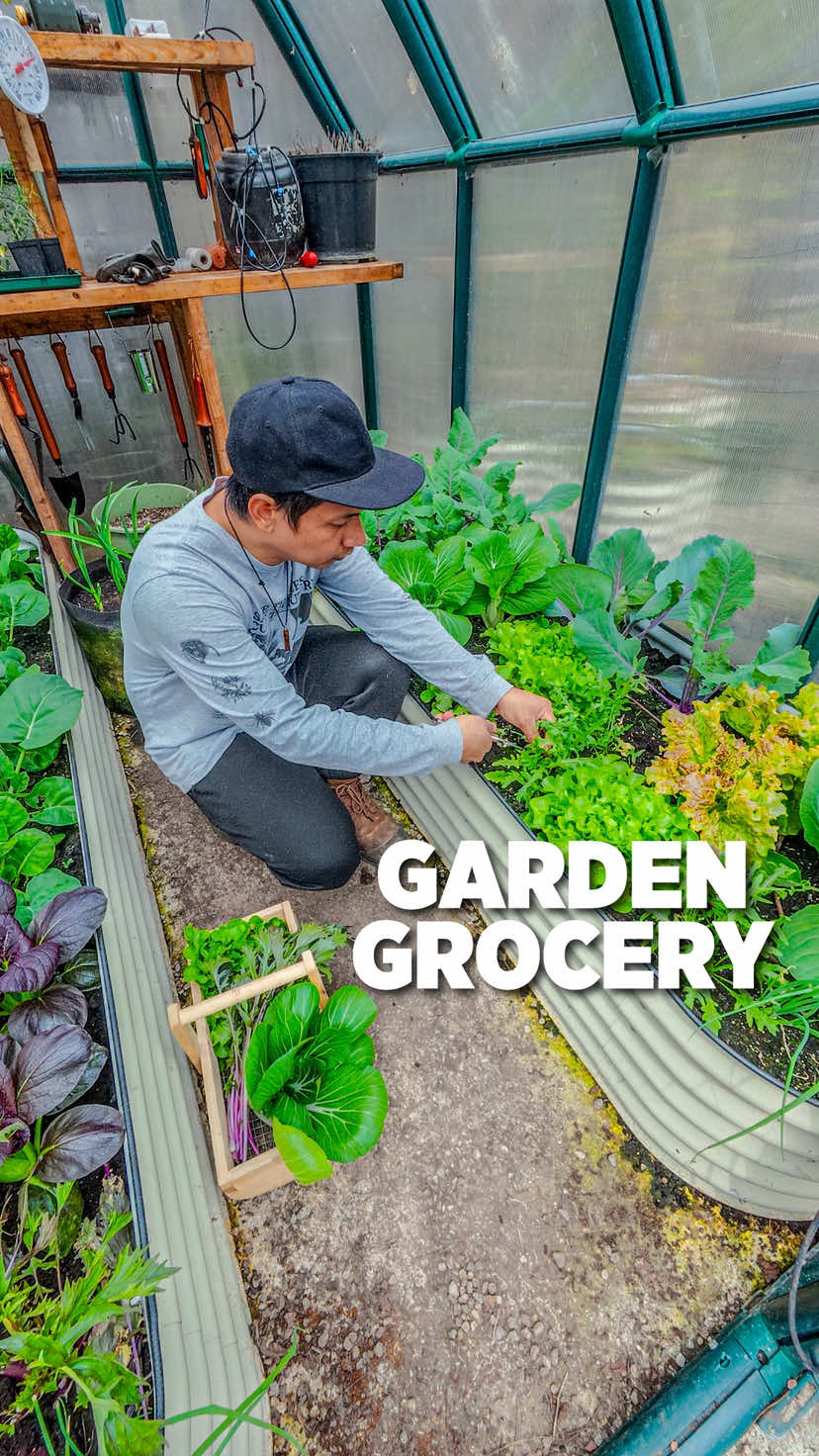 @Planted in the Garden