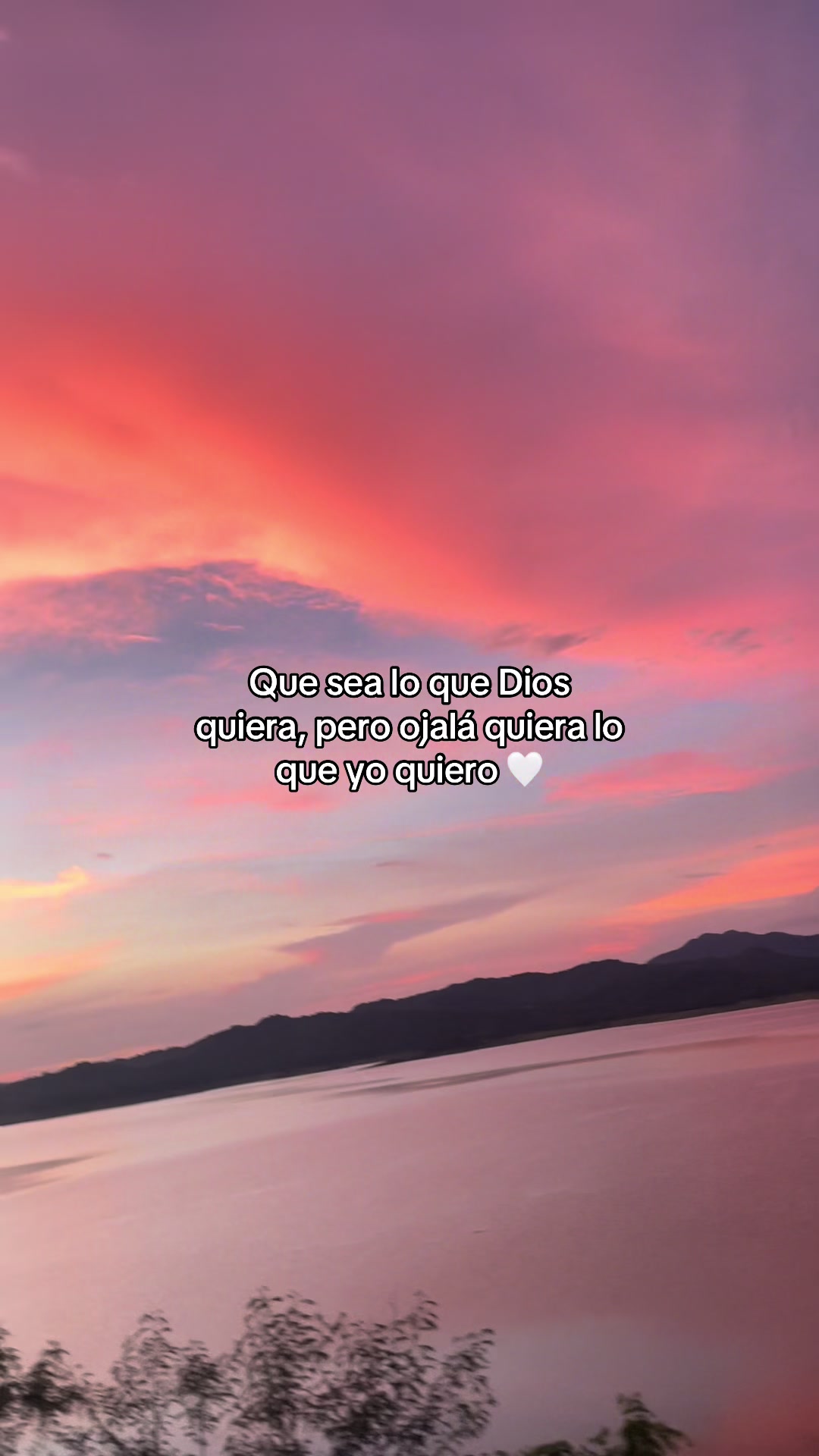 @Elarmdp16