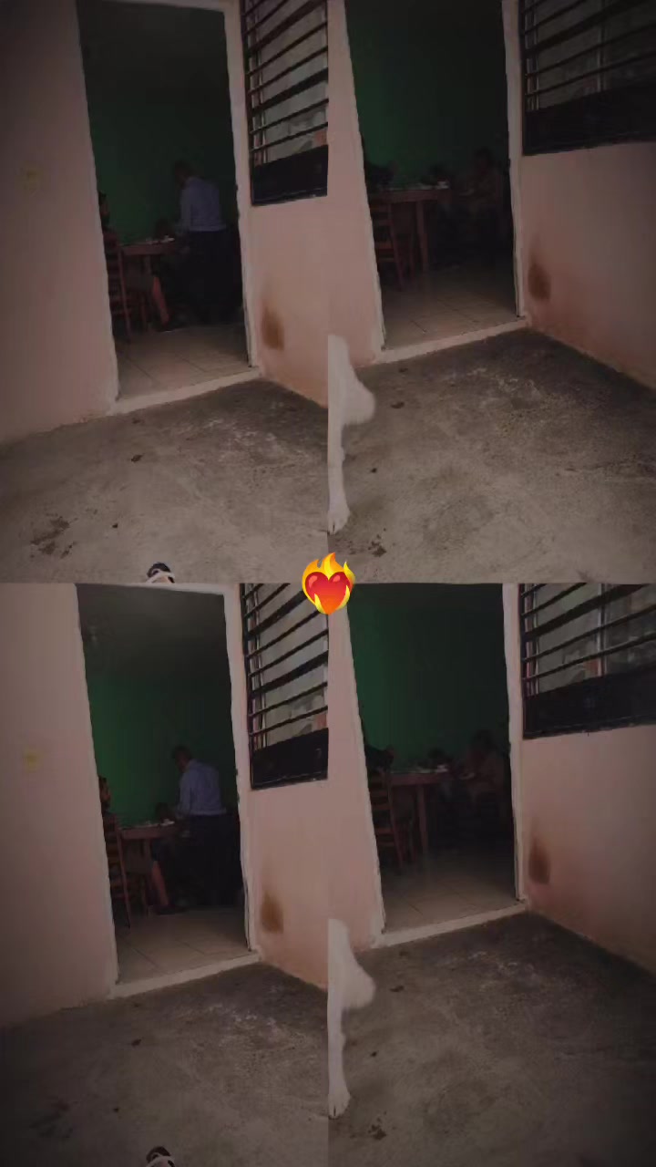 @Lulú Ortiz