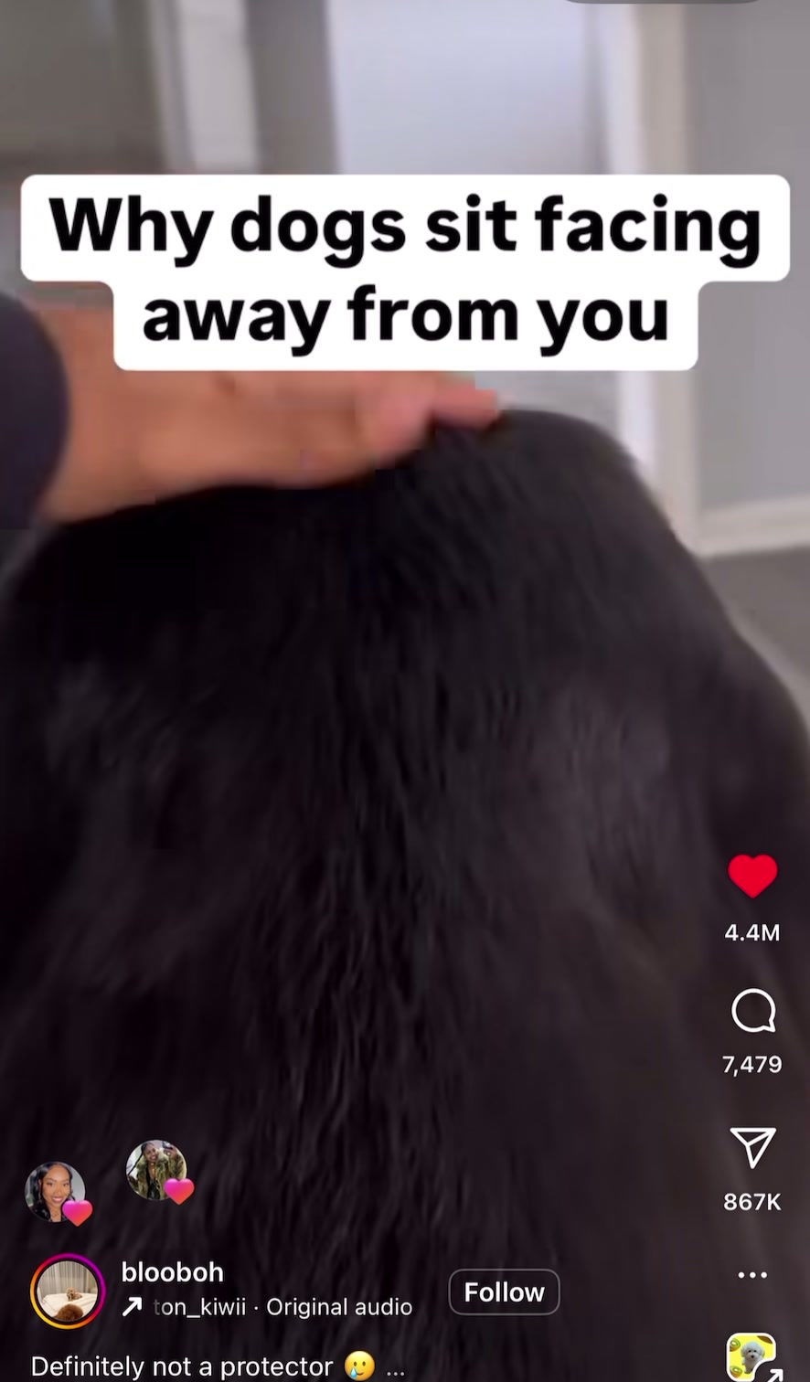 @Jaypcola87