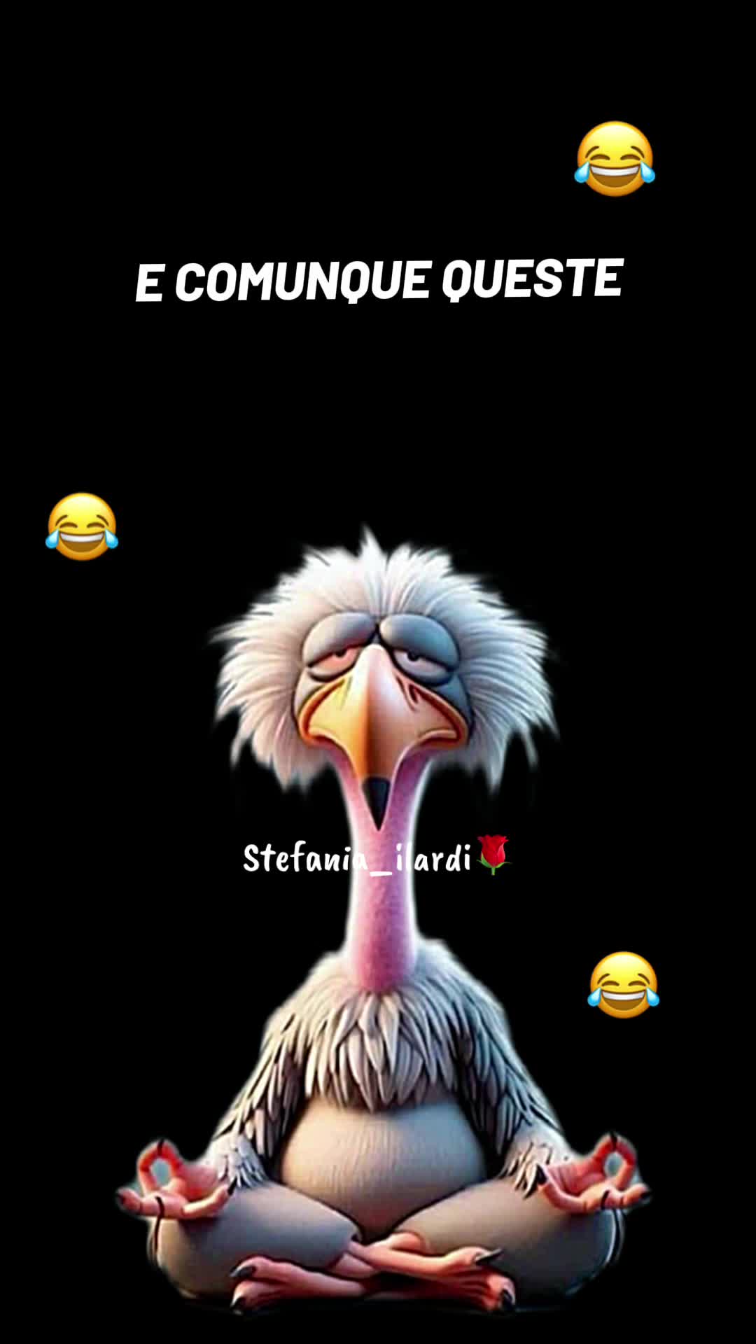 @stefania_ilardi
